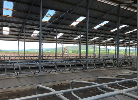 Estrutura de aço para edifício/armazém/tipo/H